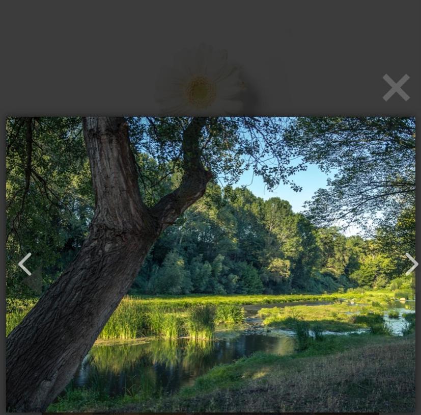 Les Cases De Cal Pastor Vilert Exteriér fotografie